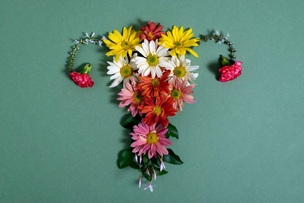 reproductive system with flowers top view nf
